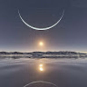 Meet your Posher, Grant